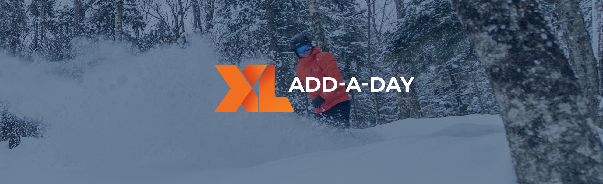 Picture of XL Add-A-Day