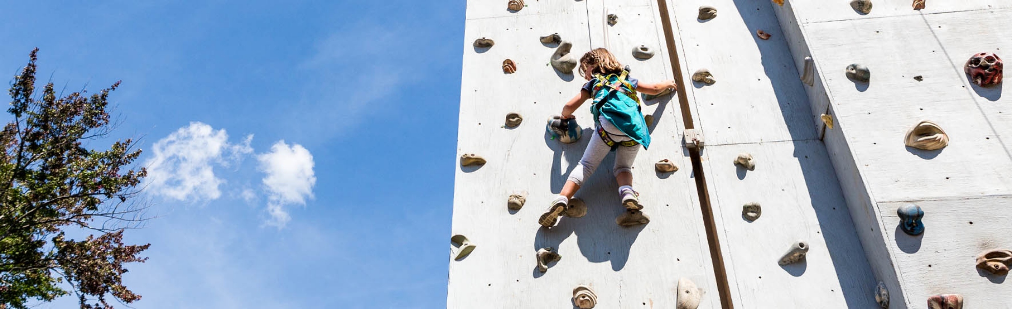 Picture of Climbing Wall